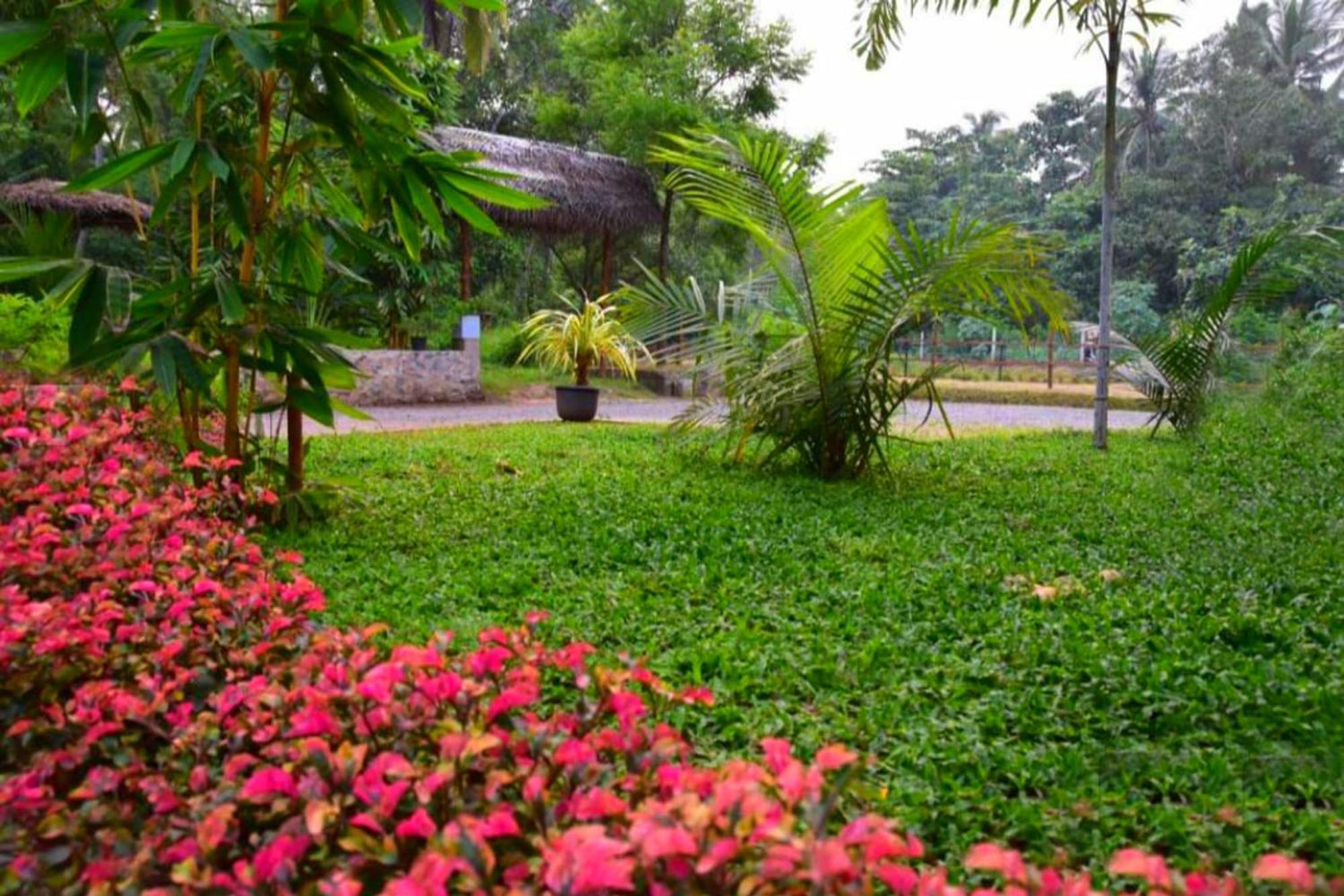 Green View Safari Paradise Hotel Udawalawe Exterior photo